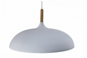 Подвесной светильник Moderli Hygo V11447-1P в Миассе - miass.ok-mebel.com | фото