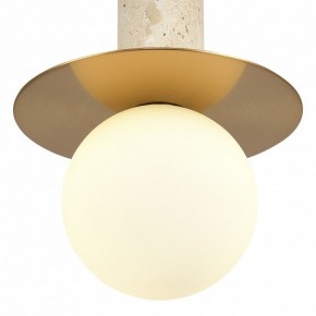 Подвесной светильник ST-Luce Earthy SL1194.303.01 в Миассе - miass.ok-mebel.com | фото 5