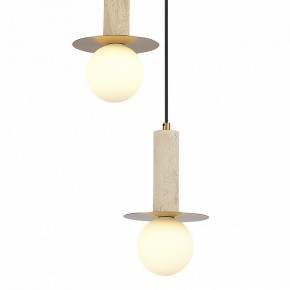 Подвесной светильник ST-Luce Earthy SL1194.303.03 в Миассе - miass.ok-mebel.com | фото 4