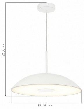 Подвесной светильник ST-Luce Lido SL6128.503.01 в Миассе - miass.ok-mebel.com | фото 4