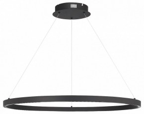 Подвесной светильник ST-Luce PARILLA SL6238.443.01 в Миассе - miass.ok-mebel.com | фото 3