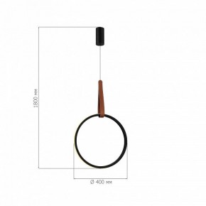 Подвесной светильник ST-Luce Shape SL6131.403.20 в Миассе - miass.ok-mebel.com | фото 4