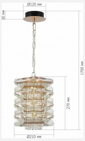 Подвесной светильник ST-Luce STROZZI SL6137.203.01 в Миассе - miass.ok-mebel.com | фото 5