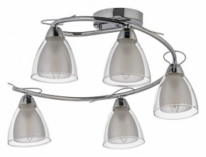 Потолочная люстра Arti Lampadari Paola, Tavenna Nickel Paola E 1.1.5 N в Миассе - miass.ok-mebel.com | фото