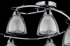 Потолочная люстра Arti Lampadari Paola, Tavenna Nickel Paola E 1.1.5 N в Миассе - miass.ok-mebel.com | фото 4