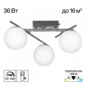 Потолочная люстра Citilux Dorsy CL223131 в Миассе - miass.ok-mebel.com | фото 3