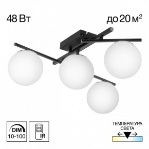 Потолочная люстра Citilux Dorsy CL223142 в Миассе - miass.ok-mebel.com | фото 9