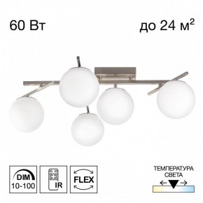 Потолочная люстра Citilux Dorsy CL223151 в Миассе - miass.ok-mebel.com | фото 2