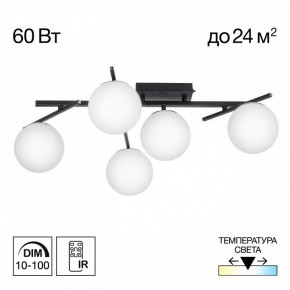 Потолочная люстра Citilux Dorsy CL223152 в Миассе - miass.ok-mebel.com | фото 2