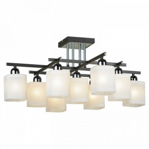 Потолочная люстра Lussole Costanzo LSL-9007-09 в Миассе - miass.ok-mebel.com | фото 2