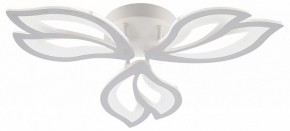 Потолочная люстра Natali Kovaltseva FORTUNA LED LAMPS 81107/2C в Миассе - miass.ok-mebel.com | фото