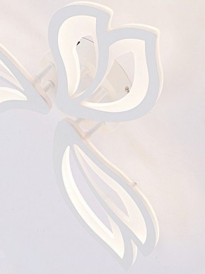 Потолочная люстра Natali Kovaltseva FORTUNA LED LAMPS 81107/2C в Миассе - miass.ok-mebel.com | фото 11