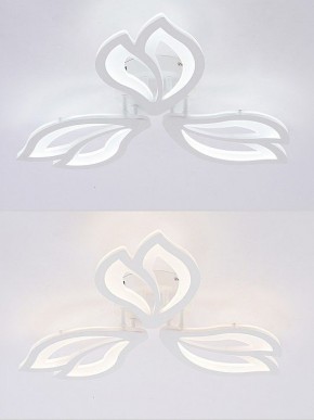 Потолочная люстра Natali Kovaltseva FORTUNA LED LAMPS 81107/2C в Миассе - miass.ok-mebel.com | фото 4