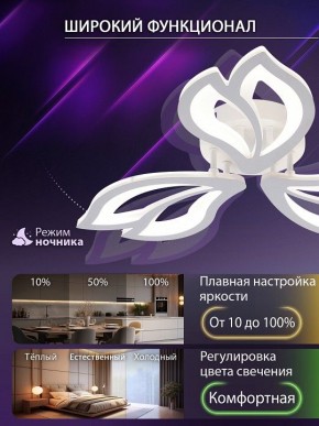 Потолочная люстра Natali Kovaltseva FORTUNA LED LAMPS 81107/2C в Миассе - miass.ok-mebel.com | фото 5