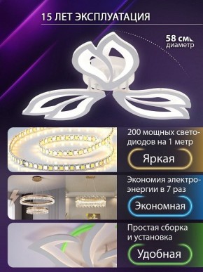 Потолочная люстра Natali Kovaltseva FORTUNA LED LAMPS 81107/2C в Миассе - miass.ok-mebel.com | фото 6