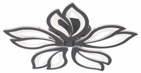 Потолочная люстра Natali Kovaltseva FORTUNA LED LAMPS 81107/5C в Миассе - miass.ok-mebel.com | фото