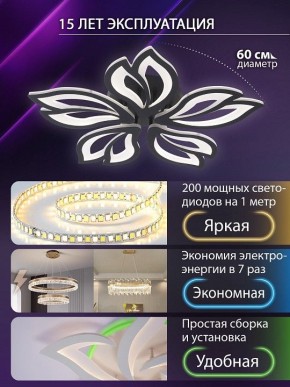Потолочная люстра Natali Kovaltseva FORTUNA LED LAMPS 81107/5C в Миассе - miass.ok-mebel.com | фото 5