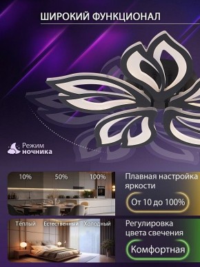 Потолочная люстра Natali Kovaltseva FORTUNA LED LAMPS 81107/5C в Миассе - miass.ok-mebel.com | фото 6