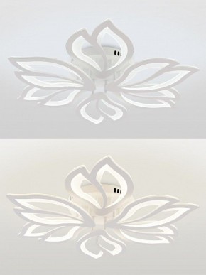 Потолочная люстра Natali Kovaltseva FORTUNA LED LAMPS 81107/6C в Миассе - miass.ok-mebel.com | фото 4