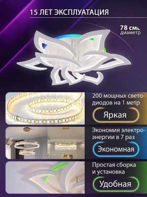 Потолочная люстра Natali Kovaltseva OLIMP LED LAMPS 81435 в Миассе - miass.ok-mebel.com | фото 5