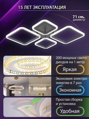 Потолочная люстра Natali Kovaltseva OPTI LED LAMPS 81108/2C в Миассе - miass.ok-mebel.com | фото 5