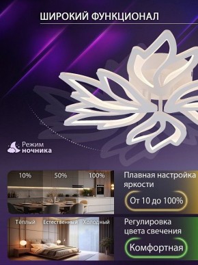 Потолочная люстра Natali Kovaltseva RIF LED LAMPS 81118/5C в Миассе - miass.ok-mebel.com | фото 6