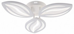 Потолочная люстра Natali Kovaltseva SM LED LAMPS 81456 в Миассе - miass.ok-mebel.com | фото