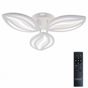 Потолочная люстра Natali Kovaltseva SM LED LAMPS 81456 в Миассе - miass.ok-mebel.com | фото 2