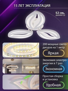 Потолочная люстра Natali Kovaltseva SM LED LAMPS 81456 в Миассе - miass.ok-mebel.com | фото 5