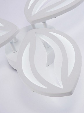 Потолочная люстра Natali Kovaltseva SM LED LAMPS 81456 в Миассе - miass.ok-mebel.com | фото 8