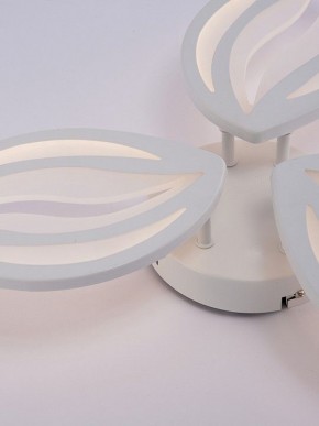 Потолочная люстра Natali Kovaltseva SM LED LAMPS 81456 в Миассе - miass.ok-mebel.com | фото 9