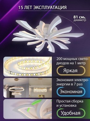 Потолочная люстра Natali Kovaltseva VIO LED LAMPS 81454 в Миассе - miass.ok-mebel.com | фото 5