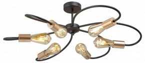 Потолочная люстра Vitaluce V3076 V3076-1/6PL в Миассе - miass.ok-mebel.com | фото 3