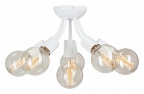 Потолочная люстра Vitaluce V3927 V3927-0/6PL в Миассе - miass.ok-mebel.com | фото