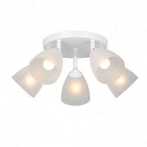 Потолочная люстра Vitaluce V4355 V4355-0/5PL в Миассе - miass.ok-mebel.com | фото 2