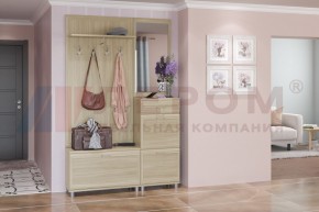 Прихожая Мелисса композиция 8 (Ясень Асахи) в Миассе - miass.ok-mebel.com | фото