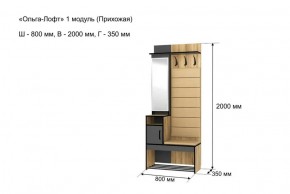 Прихожая "Ольга-Лофт 1" в Миассе - miass.ok-mebel.com | фото 4