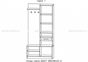 Прихожая София 1 в Миассе - miass.ok-mebel.com | фото 2