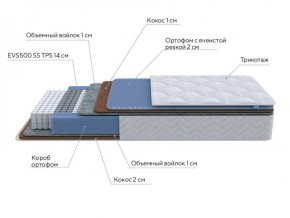 PROxSON Матрас Active Duo M/F (Ткань Трикотаж Эко) 120x190 в Миассе - miass.ok-mebel.com | фото 6