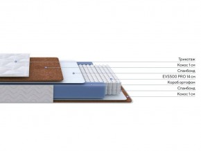 PROxSON Матрас Active F Roll (Ткань Трикотаж Эко) 160x200 в Миассе - miass.ok-mebel.com | фото 3