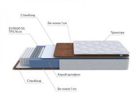 PROxSON Матрас Active F Roll (Ткань Трикотаж Эко) 120x190 в Миассе - miass.ok-mebel.com | фото 7