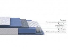 PROxSON Матрас Active M Roll (Ткань Трикотаж Эко) 80x195 в Миассе - miass.ok-mebel.com | фото 2
