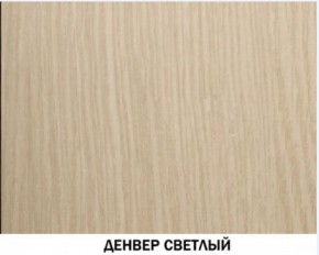 Шкаф для одежды №609 "Инна" Денвер светлый (*без полок) в Миассе - miass.ok-mebel.com | фото 4