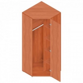 Шкаф для одежды "Референт" Р.Ш-10 в Миассе - miass.ok-mebel.com | фото