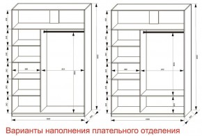 Шкаф-купе 1600 серии SOFT D6+D4+B2+PL2 (2 ящика+1штанга+1 полка) профиль «Капучино» в Миассе - miass.ok-mebel.com | фото 8