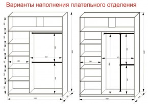 Шкаф-купе 1600 серии SOFT D6+D4+B2+PL2 (2 ящика+1штанга+1 полка) профиль «Капучино» в Миассе - miass.ok-mebel.com | фото 9