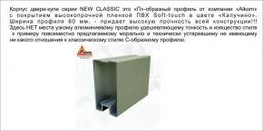 Шкаф-купе 1700 серии NEW CLASSIC K3+K3+B2+PL1 (2 ящика+1 штанга) профиль «Капучино» в Миассе - miass.ok-mebel.com | фото 5