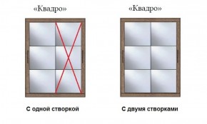 Шкаф-купе №19 Серия 3 Квадро (1700) Ясень Анкор светлый в Миассе - miass.ok-mebel.com | фото 3