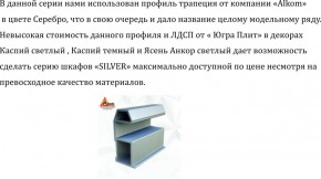 Шкаф-купе 2250 серии SILVER S3+S1+S3Z B22+PL2 (по 2 ящика лев/прав+1штанга+1 полка) профиль «Серебро» в Миассе - miass.ok-mebel.com | фото 4