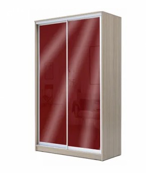 Шкаф-купе ХИТ 22-12/2-22 (620) в Миассе - miass.ok-mebel.com | фото 7